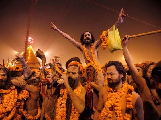 Festival Special Offer